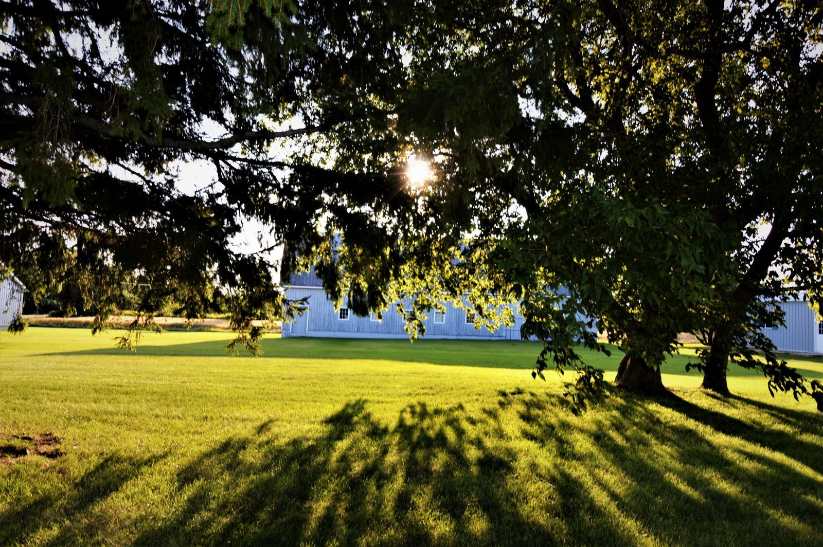 Carraig Dale — Door County