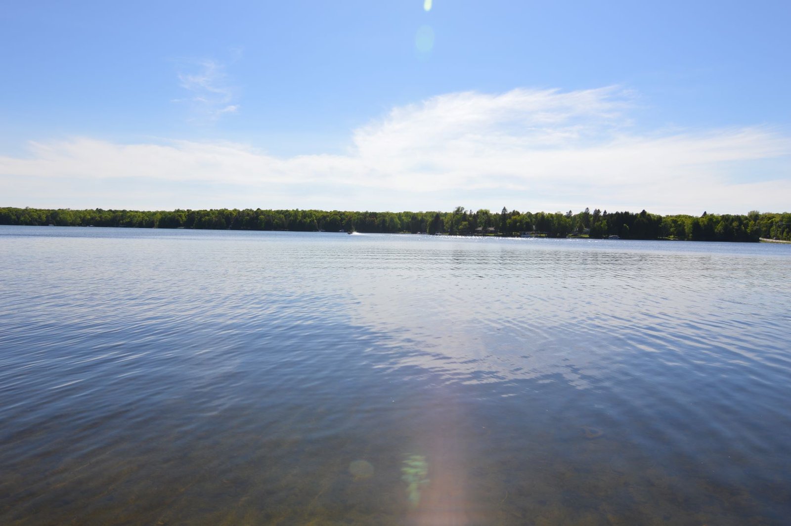 Carraigeen — Door County